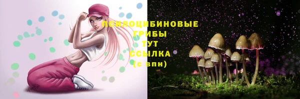 spice Алексеевка